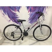 Resim Salcano Fantasia 24 Jant Shimano 21 Vites Kadın Bisikleti Gri 