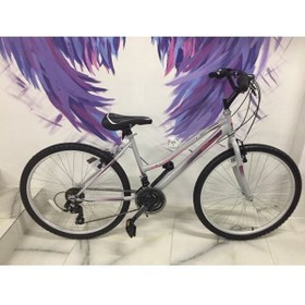 Resim Salcano Fantasia 24 Jant Shimano 21 Vites Kadın Bisikleti Gri 