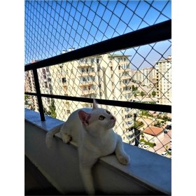 Resim ÜN.K 3 x 5 Metre Kedi Koruma Filesi Balkon Filesi 2 mm Kedi Güvenlik Filesi Bebek Güvenlk Filesi 