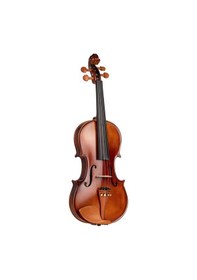 Resim Bardsen Bv44950 4/4 Keman 