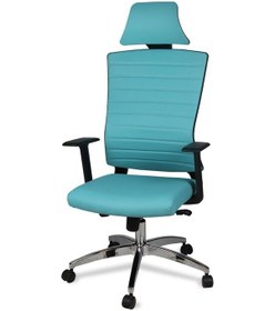 Resim Koltukstilim Gladyo Turkuaz Deri Makam Koltuğu Diğer 