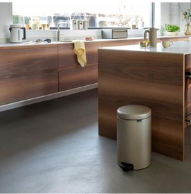 Resim Brabantia Çöp Kutusu 20 Litre Newicon Pedallı Şampanya Rengi 