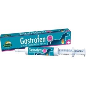 Resim Mervue Equine Gastrofen Pasta 80 ml 
