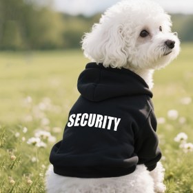 Resim Küçük Köpek Yavrusu Bichon Pom-Pom Kışlık Siyah Kısa Tüylü Kedi Kazak, Evcil Hayvan Giysileri - Sonbahar-Kış Teddy Poodle & Pers Sıcak Kazakları 