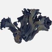 Resim Taze Borazan Mantarı (1000 g) 