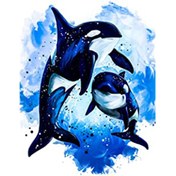 Resim Pastelya Sayılarla Boyama Seti Rulo Çerçevesiz Mavi Sular Ve Orca Kendin Yap Hobi