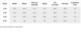 Resim Galatasaray Lisanslı 2025/2026 Parçalı İç Saha Çocuk Forma Seti - 2-3 YAŞ 