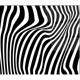 Resim Olinpa Cam Ocak Arkası Koruyucu | Zebra Desenli 