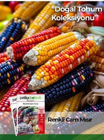 Resim 15 Adet Doğal Renkli Cam Mısır Tohumu 