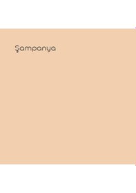 Resim Marshall Maximum Mat Silikonlu Şampanya 2,5 Lt. 3,5 Kg 