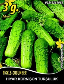 Resim Hıyar Tohumu Salatalık Kornişon Turşuluk 3 G Takribi 60 Toh 