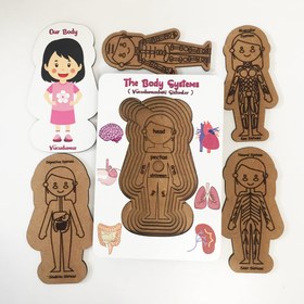 Resim Vücudumuz Sistemleri Kız Ahşap Oyuncak Moon Beavers™ 