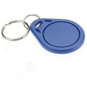 Resim Temiz Pazar Kapı Geçiş ve Güvenlik İçin: 100 Adet Yüksek Hassasiyetli 125 kHz RFID Anahtarlık Tag 