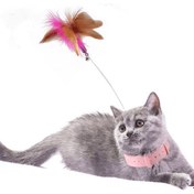 Resim Kedi Oyuncağı Tüy Yakalık 