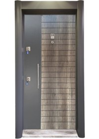 Resim Antrasit Çelik Kapı Tez1449 