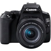 Resim Canon EOS 250D 18-55 MM IS STM DSLR Fotoğraf Makinesi 
