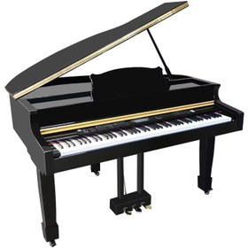 Resim Bolanshi BL-GP115BK Grand Dijital Piyano (Siyah) 