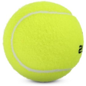 Resim markentegra Profesyonel Antrenman Tenis Topu - Yün Keçe Dış Yüzey 