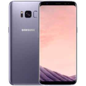 Resim Samsung Galaxy S8 64 GB Orkide 