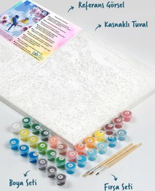 Resim Tabdiko Sayılarla Boyama Seti 40 x 50 cm Tuval Şasesine Gerili Bahar Dalında Kuşlar 