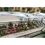 Resim Homyl Plastik Kaplama Tarım Filmi Toz Geçirmez Bez Film 200cm-200cm 