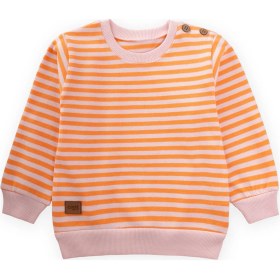 Resim Cigit Çizgili Triko Sweatshirt 0-4 Yaş Pudra Şeftali Pudra 