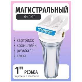 Resim Posejdon Poseidon Anahat Filtresi. 1 İnç Diş. Şeffaf. 380694489 