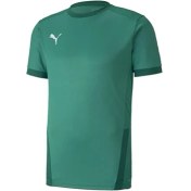 Resim Puma Teamgoal 23 Erkek Yeşil Futbol Tişört 70417105 