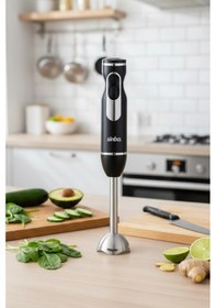 Resim Sinbo SHB-7513 500 W Paslanmaz Çelik Bıçaklı El Blenderı 