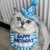 Resim Pet Doğum Günü Şapkası, Pet Atkı, Kedi Doğum Günün Kutlu Olsun Seti, Sevimli Pervane Kombinasyonu, Dekoratif Pet Malzemeleri 