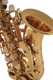 Resim Roy Benson SG-302 Kıvrık Soprano Saksafon 