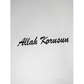 Resim Oto Stıcer Arka Cam Ön Cam 10x10 2 adet 