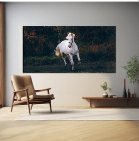 Resim Yalnızlık Majestesi Kanvas Tablo 