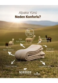 Resim Bolero B67 Kadın Alpaka Yün Soket Çorap 36-40 Beyaz 