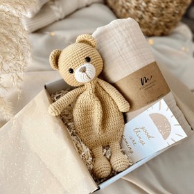 Resim Amigurumi Uykucu Serisi Gift Box - Ayıcık Bebek Kutusu 