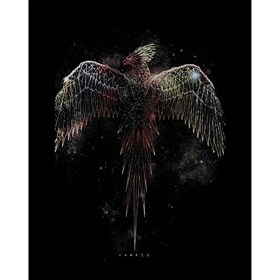 Resim Anka Kuşu Phoenix Büyük Sırt Patch Yama 