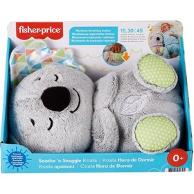Resim GRT59 Fisher-Price® Sleeping Companion Koala / +0 