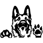 Resim Tatlı Köpek Sticker Oto-motor-laptop-duvar-dekor 20 X 16 Cm 