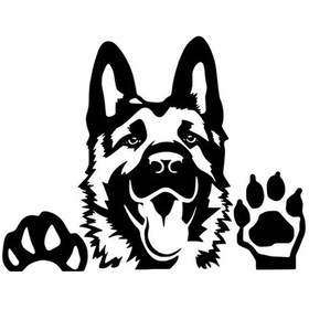 Resim Tatlı Köpek Sticker Oto-motor-laptop-duvar-dekor 20 X 16 Cm 