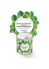 Resim Büro Ev Yazlık İçin İri Yaprak Kıvırcık Konservede Yetiştirme Tohum Kiti 