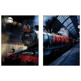 Resim Hogwarts Express Perde 