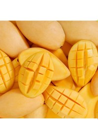 Resim Aşılı Sweet Yellow Mango Fidanı - 2 Yaş - Tüplü 60-70 Cm - Yüksek Şeker Oranlı Lifsiz Sarı Mango 