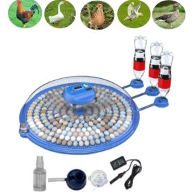 Resim Aesco 80 Tavuk 240 Kuş Yumurta Kapasiteli Çift Viyollü Kuluçka Makinesi - Kaz, Ördek, Tavuk, Bıldırcın Için ( Lisinya ) 