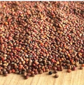 Resim Aktar Store Roka Tohumu 1 Kg 