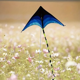 Resim 1 adet Renkli Gradyan Uzun Kuyruklu Elmas Uçurtma - Dış Mekan Plajı, Park, Çayır Uçuşu için Dayanıklı Polyester - Yaşlar 14+, Plaj Etkinlikleri | Gradyan Tasarım | Kolay Uçuş, Plaj Aksesuarları 