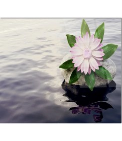 Resim Olinpa Cam Ocak Arkası Koruyucu | Çiçek ve Su 