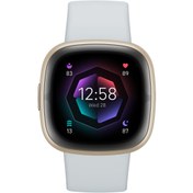 Resim Fitbit Sense 2 Akıllı Saat (Altın/Mavi) 