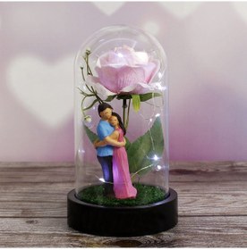 Resim Mobgift Gül Altında Çifte Kumrular Tasarımlı Işıklı Fanus Pembe 