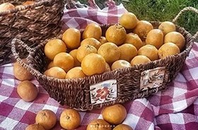 Resim KNV Oval Yayvan Sepet Kumsalda Şarap Keyfi Büyük 