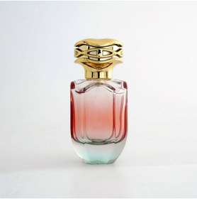 Resim D&B YOL BOŞ PARFÜM ŞİŞESİ 50 ML GÜL DESENLİ (2 ADET) (SPREY APARAT İLE KAPATILIR-KOLAY KAPAMA) BOŞ ŞİŞE 